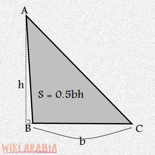 حساب مساحة المثلث اونلاين
