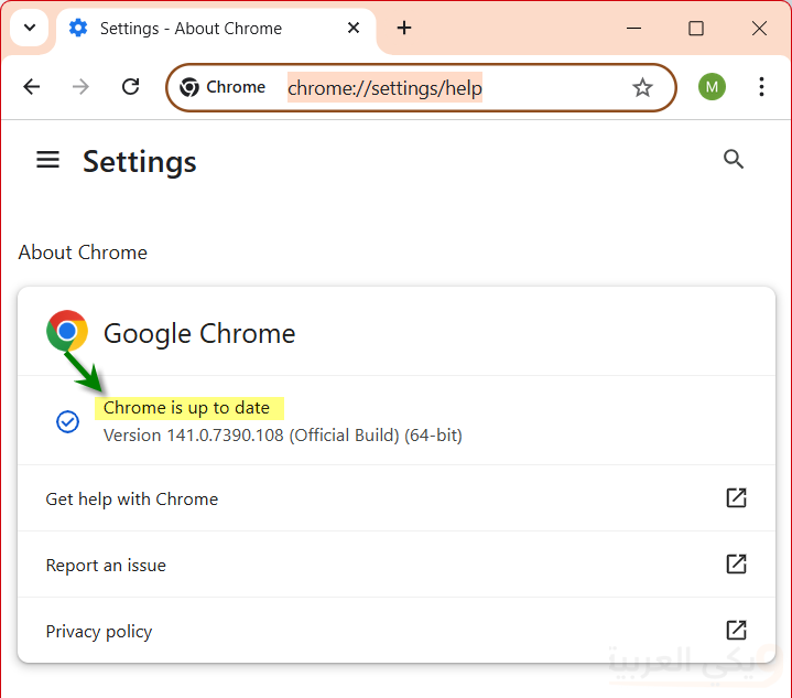 Update Google Chrome browser for PC