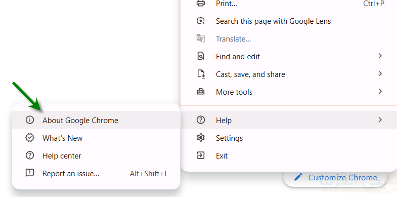 About Google Chrome current version info